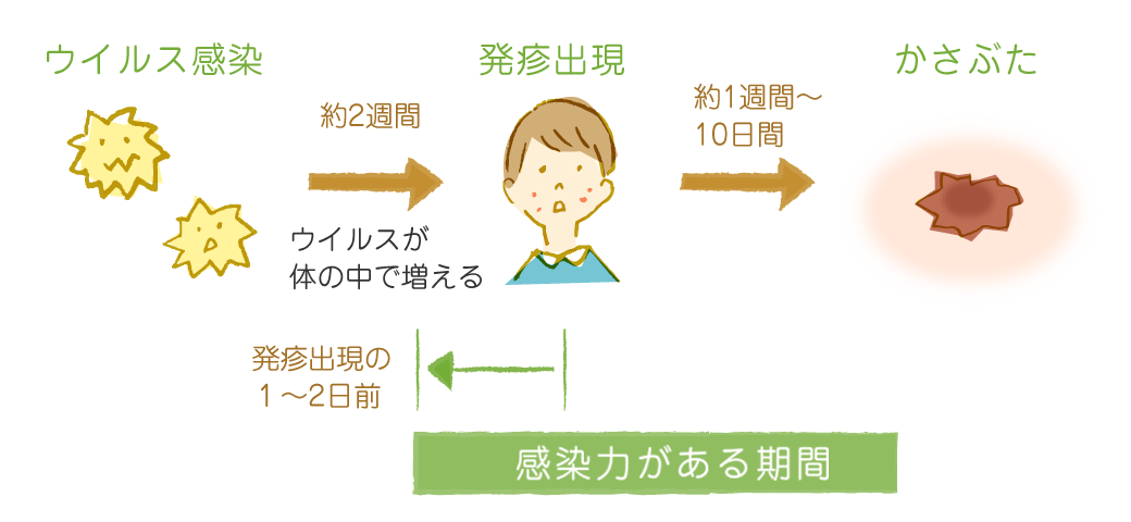 他の人に感染してしまうおそれがあるのはいつ？